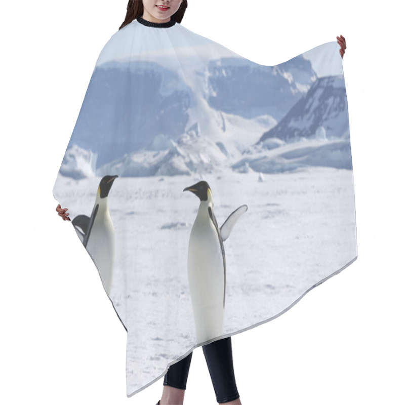 Personality  Emperor Penguins Hair Cutting Cape