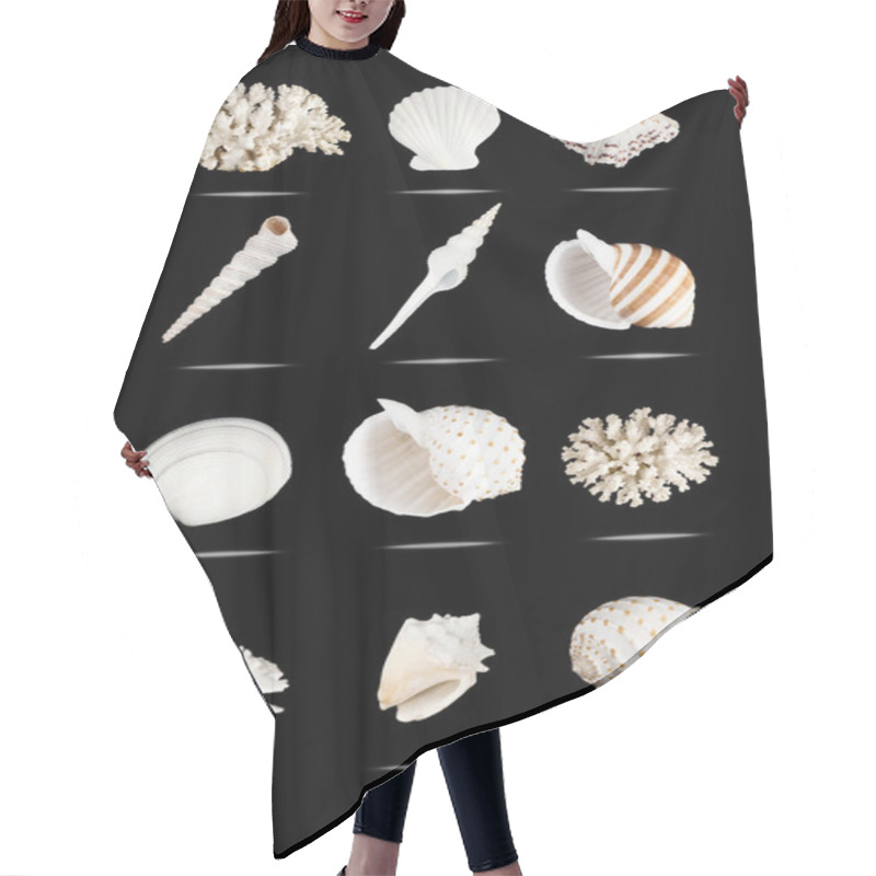 Personality  Seashells Set. Hair Cutting Cape