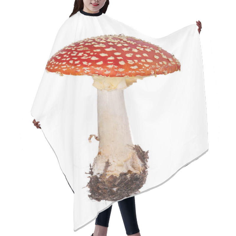 Personality  Red Fly Agaric Hair Cutting Cape