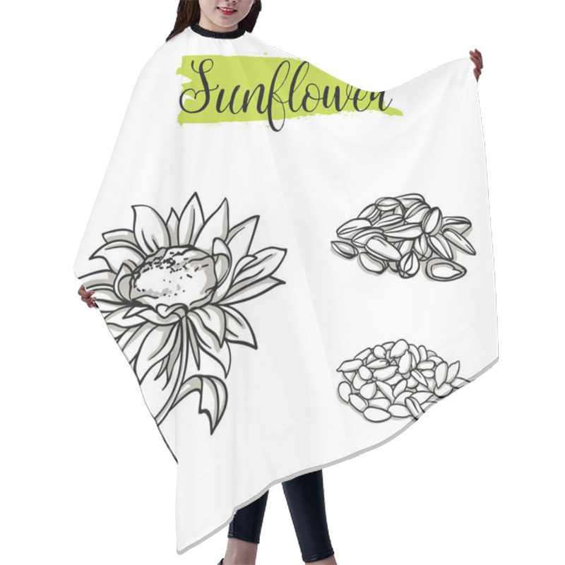 Personality  Beautiful Vector Hand Drawn Sunflower, Seeds. Organic Food, Vector Doodle Illustrations Collection Isolated On White Background. Hair Cutting Cape