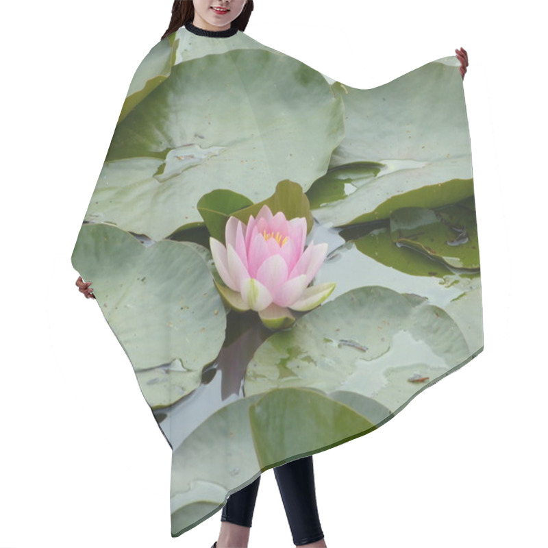 Personality  Water Lilies On Pond Hair Cutting Cape