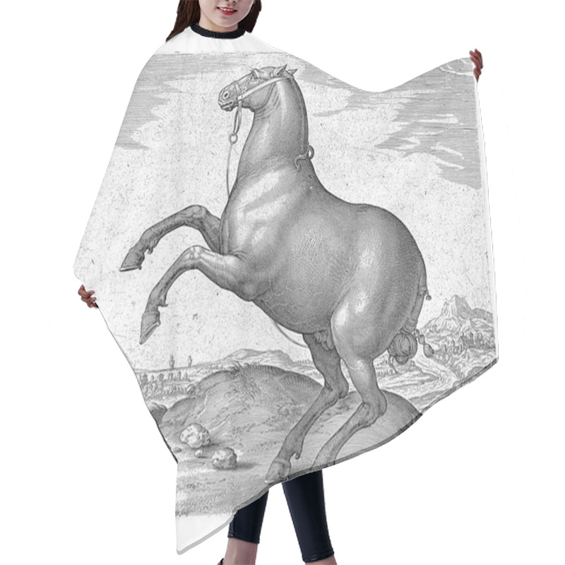 Personality  A Scythian Horse, In Profile. It Rears. The Print Has A Latin Caption And Is Part Of The First Part Of A 39-part Series About The Horse Breeds From The Royal Stables Of Don Juan Of Austria. Hair Cutting Cape