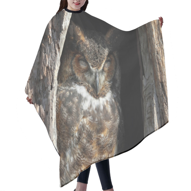 Personality  Great Horned Owl (Bubo Virginianus) Hair Cutting Cape