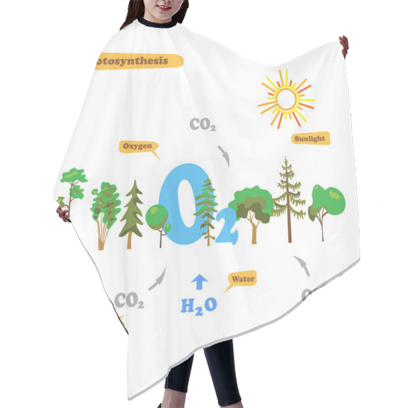 Personality  Image Of Photosynthesis Hair Cutting Cape