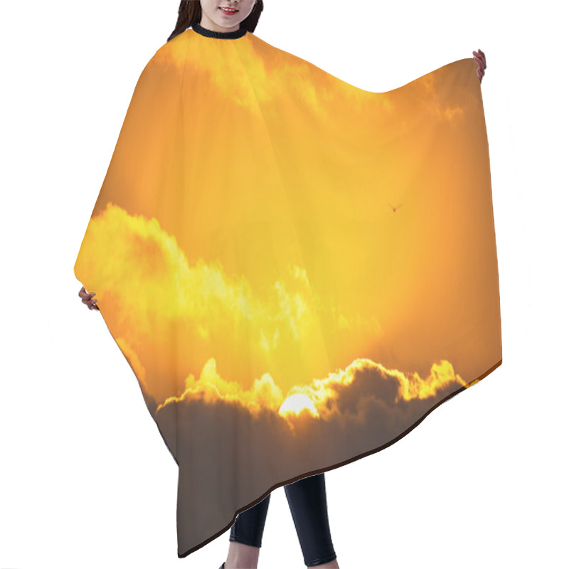 Personality  Flying Bird In The Sky. Scenic Sunrise With Beautiful Cloudscape Hair Cutting Cape