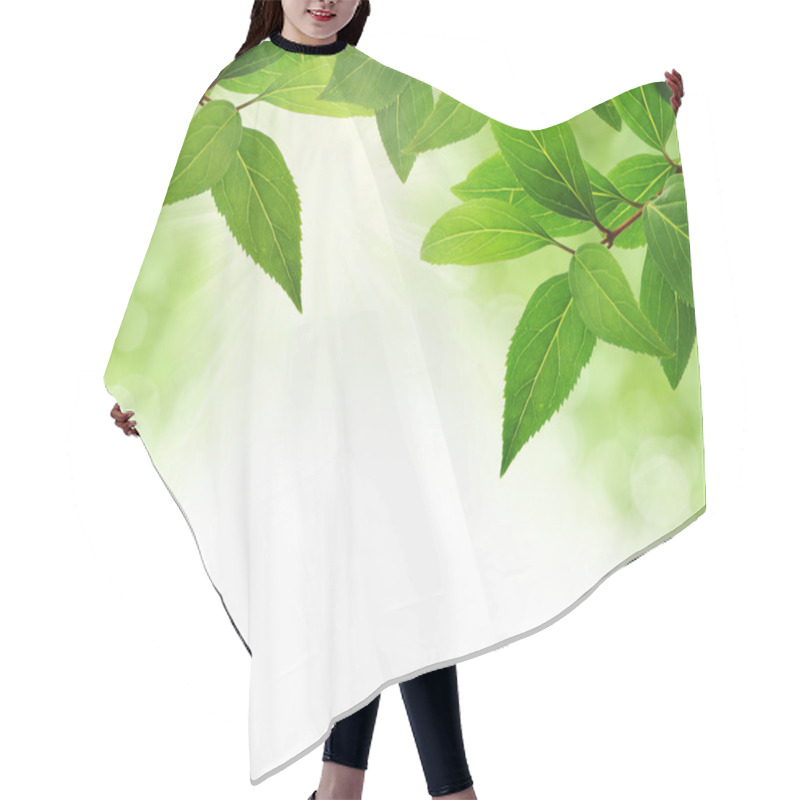 Personality  Green Leaves Border With Copy Space Hair Cutting Cape