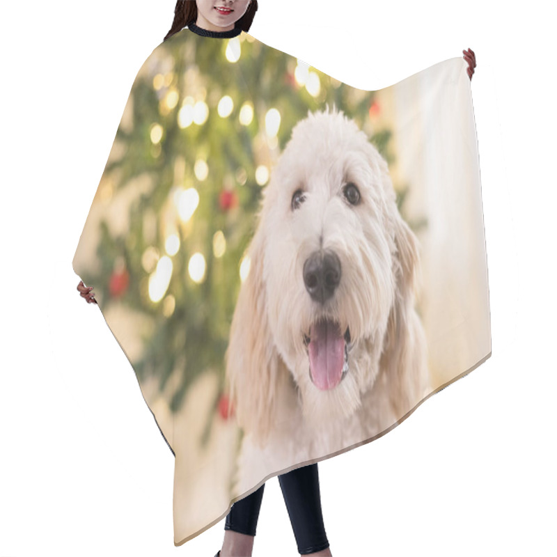 Personality  Close Up Of Happy Dog In Front Of Christmas Tree Hair Cutting Cape