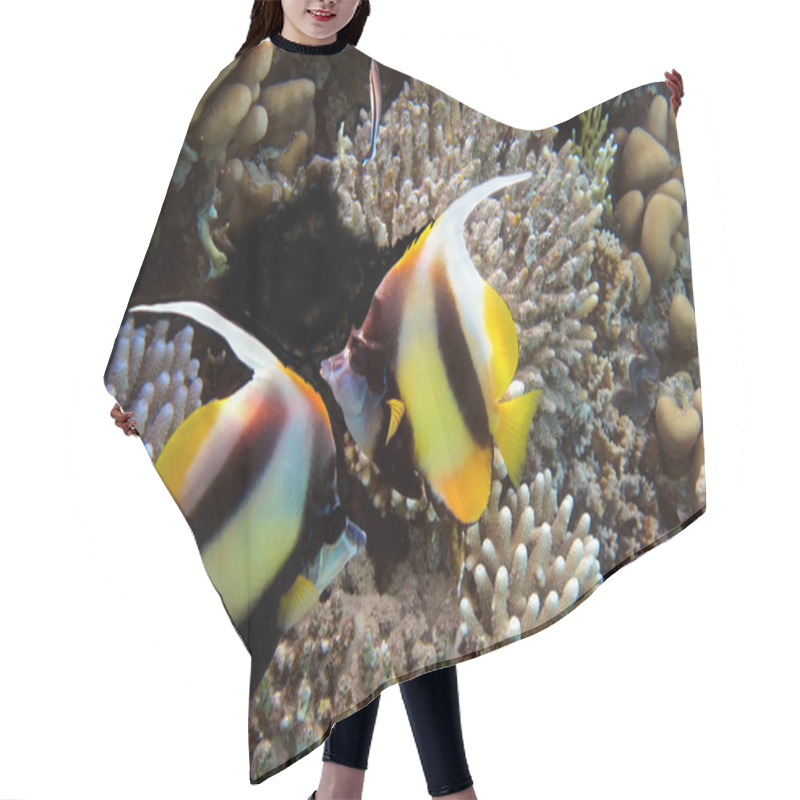 Personality  Photo Of A Coral Colony On A Reef Top, Red Sea, Egypt Hair Cutting Cape