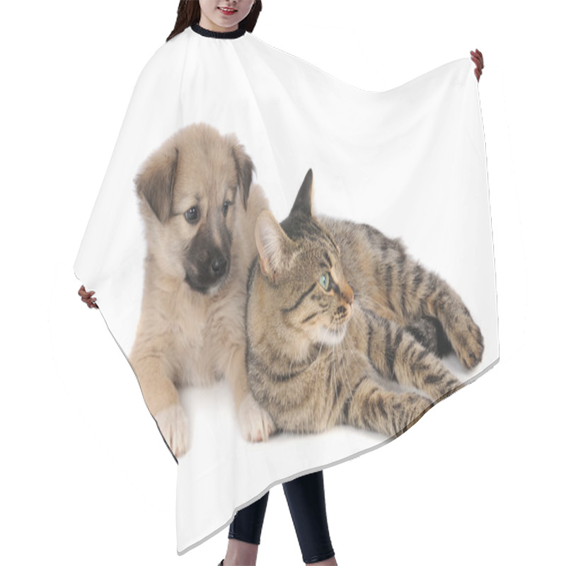 Personality  Cat And A Dog Hair Cutting Cape