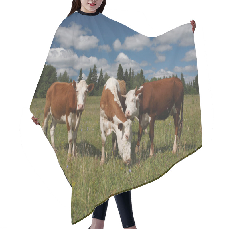 Personality  Cows On A Green Field With Woods In The Background Hair Cutting Cape