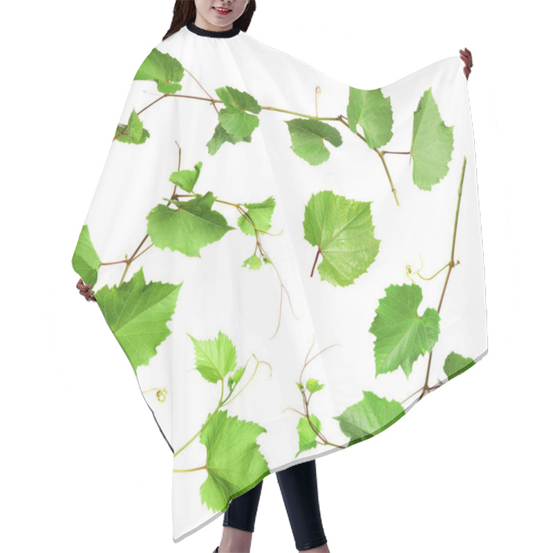 Personality  Set Of Grapevines With Green Leaves On White Background Hair Cutting Cape