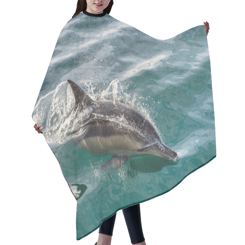 Personality  Dolphin Swimming In The Ocean Hair Cutting Cape