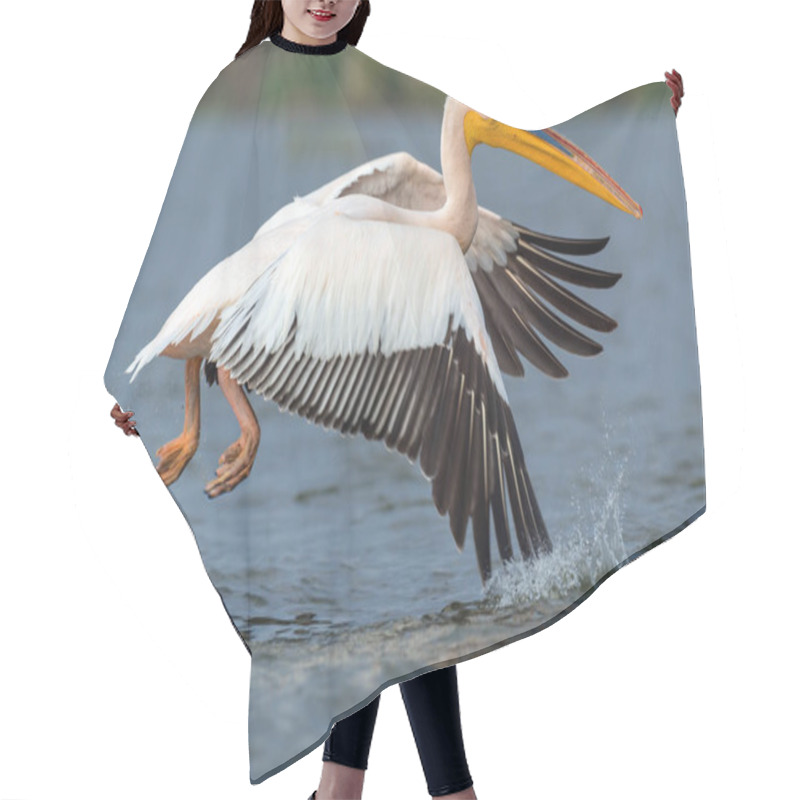 Personality  Great White Pelican Hair Cutting Cape