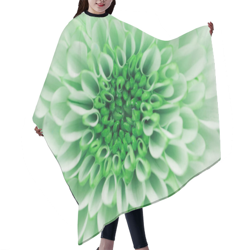 Personality  Background Of  Chrysanthemum Flower Hair Cutting Cape