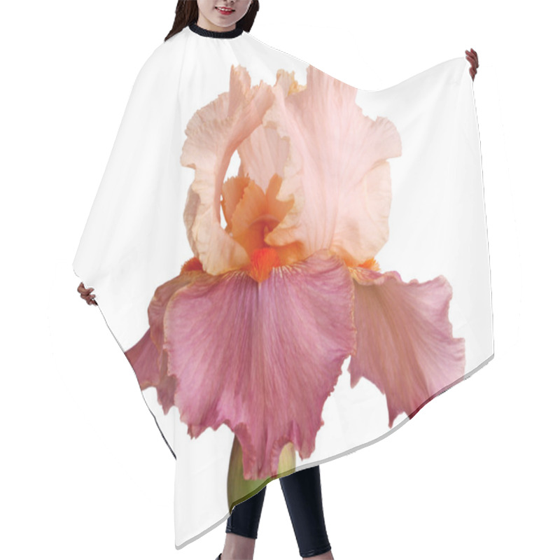 Personality  Mauve And Pinkish Iris Flower Isolation Hair Cutting Cape