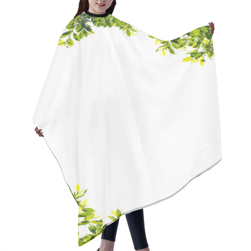 Personality  Banyan Green Leaves Isolated On White Background Hair Cutting Cape