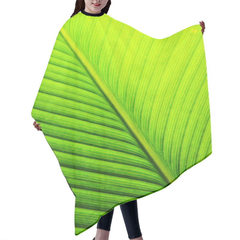 Personality  Banana Leaf Texture Close Up Hair Cutting Cape