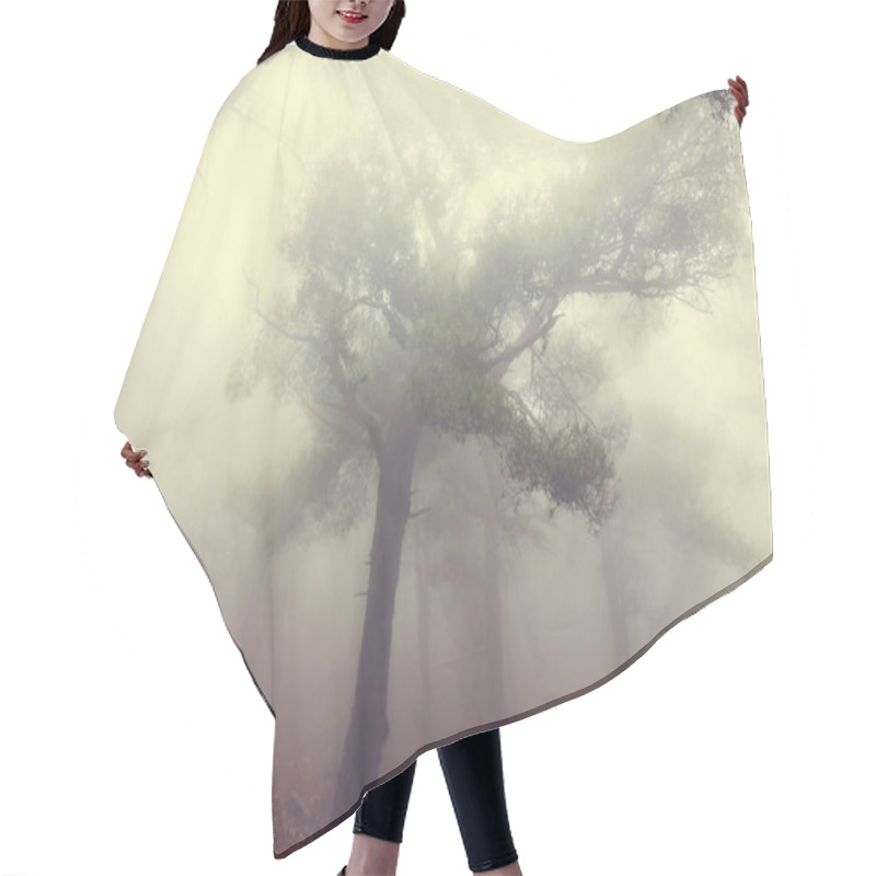 Personality  Magic Misty Forest Hair Cutting Cape