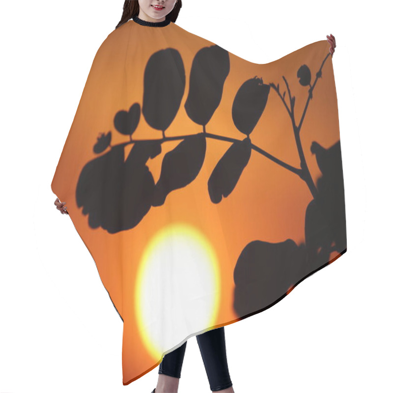 Personality  Silhouette Of Carob (Ceratonia Siliqua) Leaves At Sunset Hair Cutting Cape