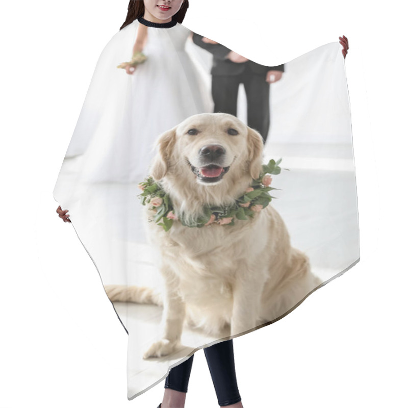 Personality  Adorable Golden Retriever Wearing Wreath Made Of Beautiful Flowers On Wedding Hair Cutting Cape