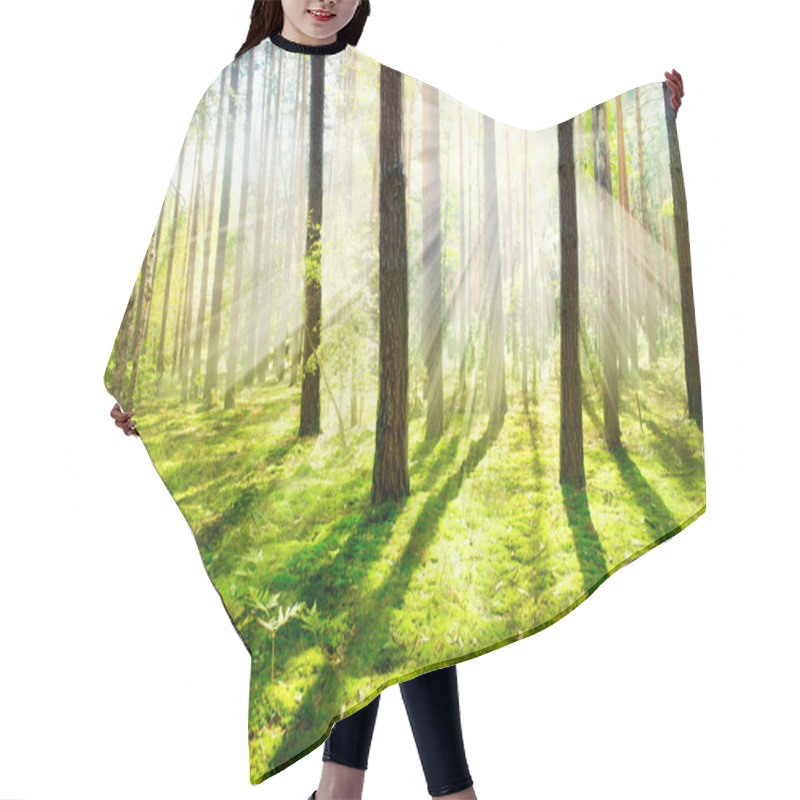 Personality  Morning Fog. Misty And Foggy Forest Hair Cutting Cape