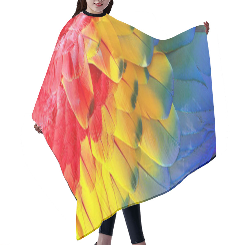 Personality  Parrot Feathers, Red, Yellow And Blue Exotic Texture Hair Cutting Cape