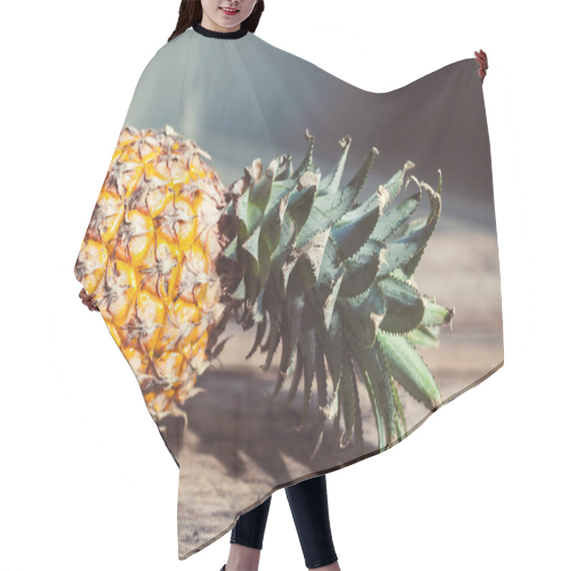 Personality  Pineapple In A Light Hair Cutting Cape