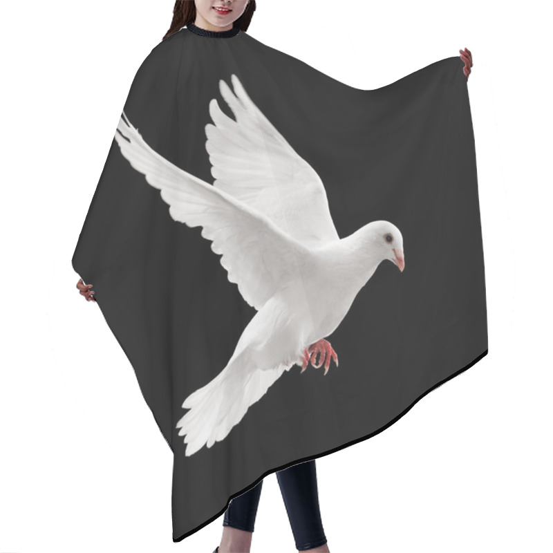 Personality  Flying Pigeon Hair Cutting Cape