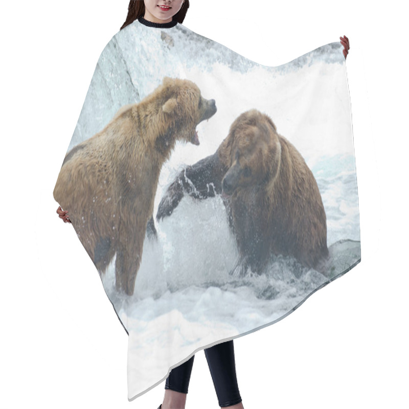 Personality  Alaskan Brown Bears Fighting Hair Cutting Cape