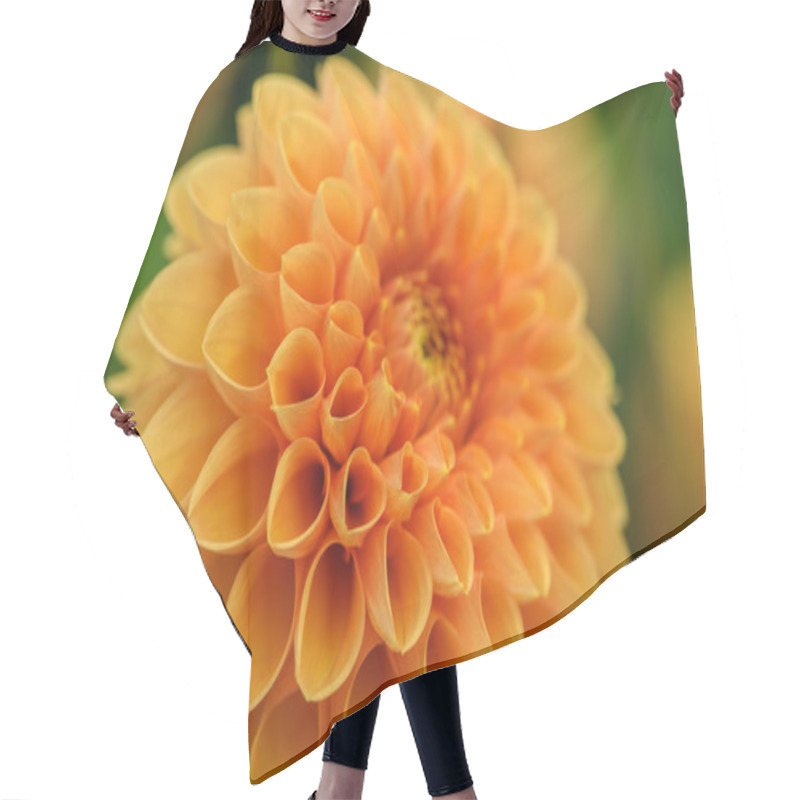 Personality  Orange Dahlia Macro Hair Cutting Cape