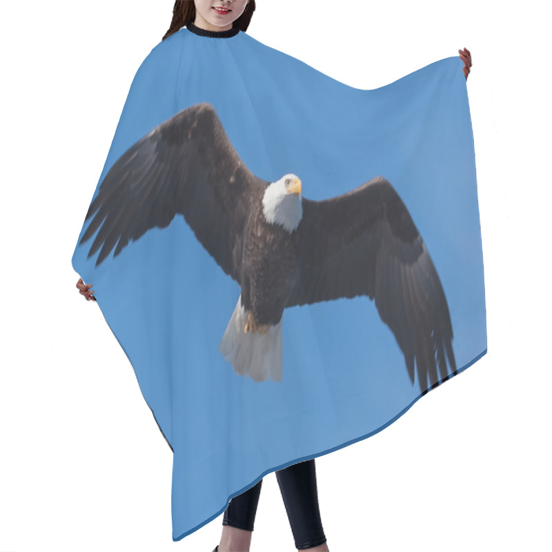 Personality  American Bald Eagle In Flight Hair Cutting Cape