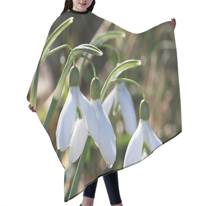 Personality  Snowdrops Hair Cutting Cape