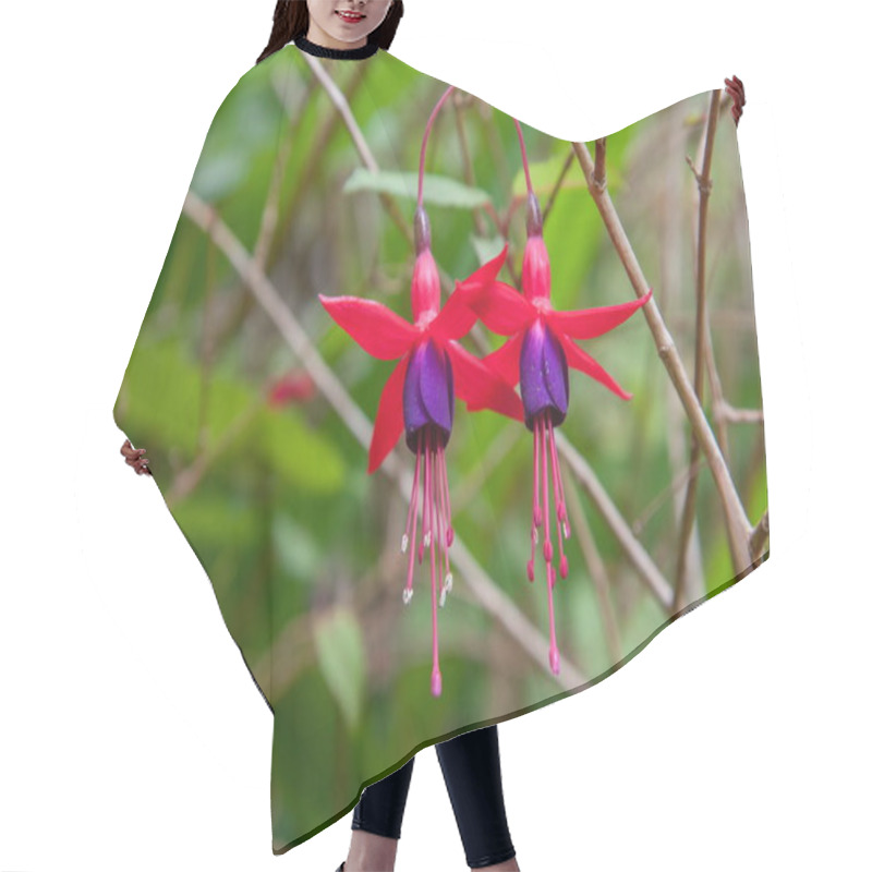 Personality  Blooming Buds Fuchsia Closeup Hair Cutting Cape