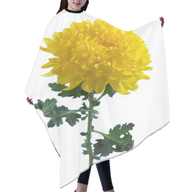 Personality  Yellow Chrysanthemum Hair Cutting Cape