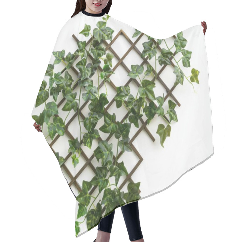 Personality  Green Climbing Ivy Adorning A Decorative Trellis Against A White Background. Hair Cutting Cape