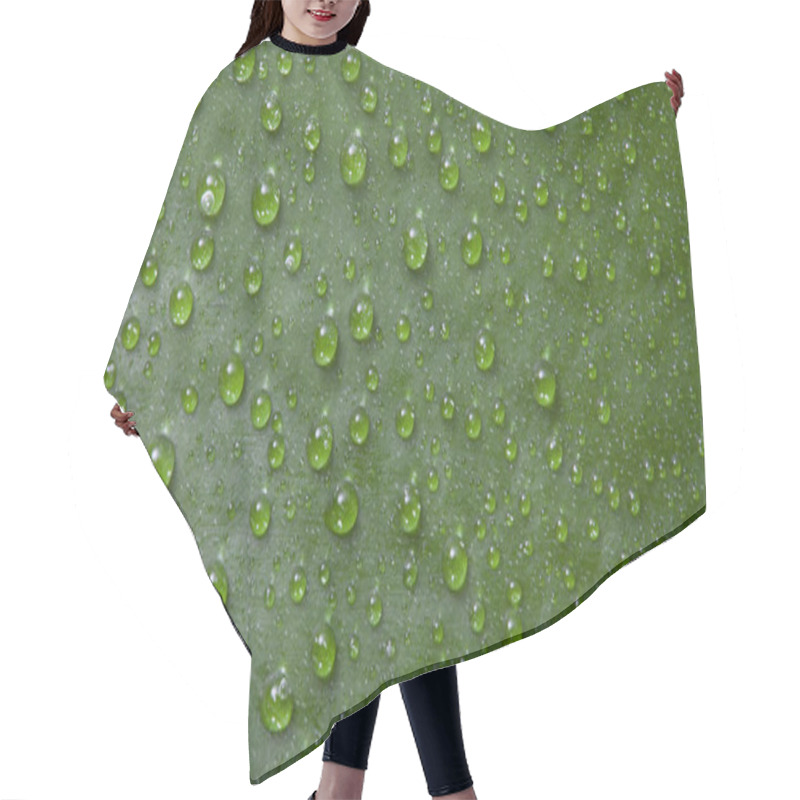 Personality  Water Drops On A Natural Green Tropical Leaf Background. Can Be Used For Your Creativity. Hair Cutting Cape