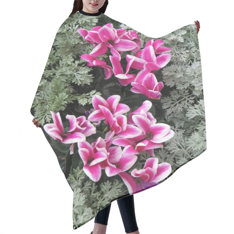 Personality  Cyclamen Hair Cutting Cape