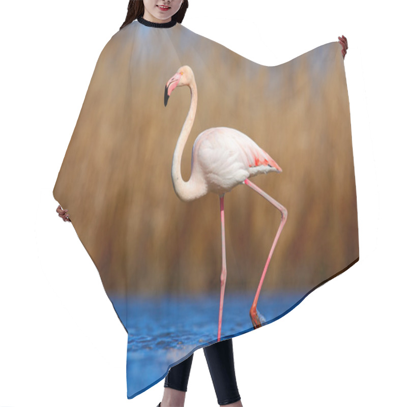 Personality  Greater Flamingo In Dark Blue Water Hair Cutting Cape