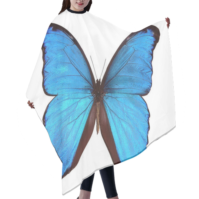 Personality  Exotic Insects (butterflies, Beetles, Spiders, Scorpions) Isolated On White Background. Beautiful Exotic Blue Butterfly Isolated On A White Background. 2020 Trend Color Hair Cutting Cape