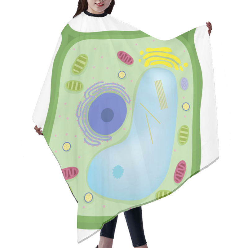 Personality  The Plant Cell Are Eukaryotic Hair Cutting Cape