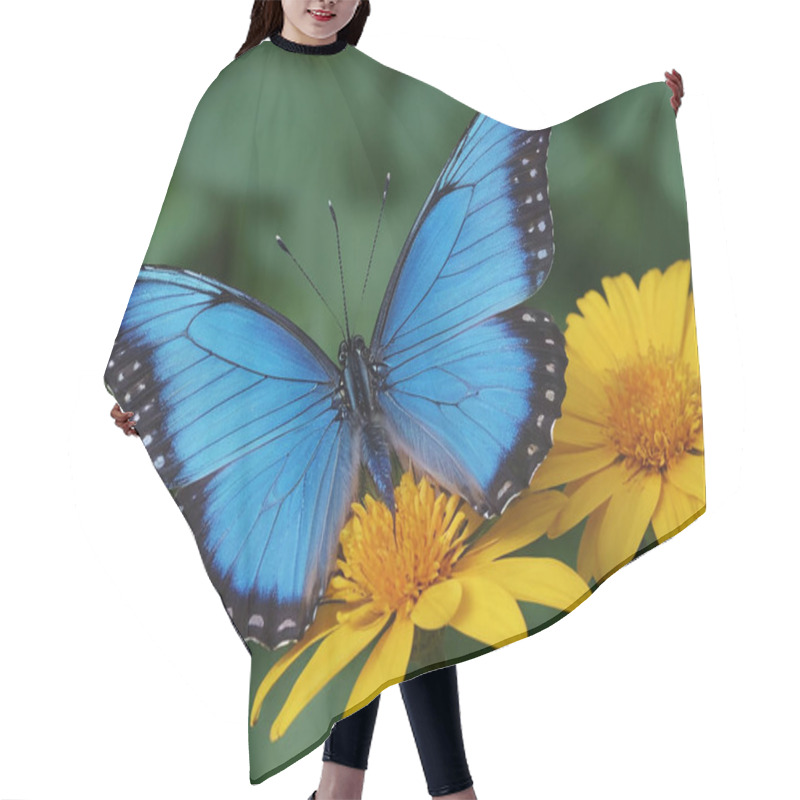 Personality  Swallowtail Butterfly On Flower And Water. Hair Cutting Cape