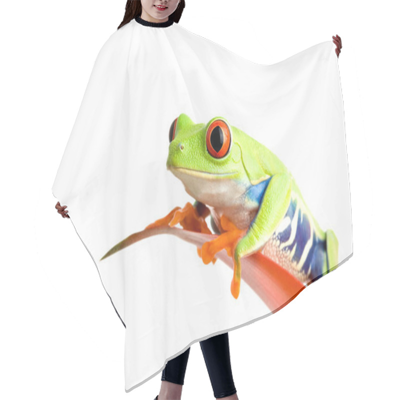 Personality  Frog On Guzmania Hair Cutting Cape