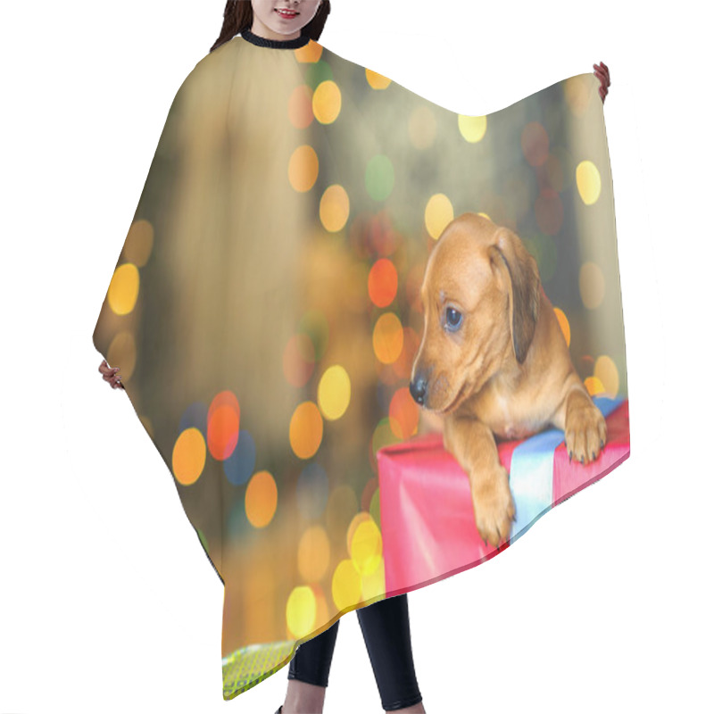 Personality  2018 Year Of The Dog Hair Cutting Cape