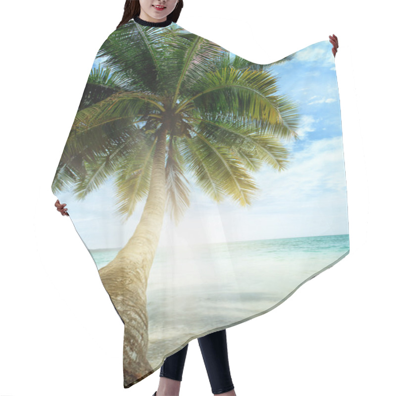 Personality  Coconut Palm Hair Cutting Cape