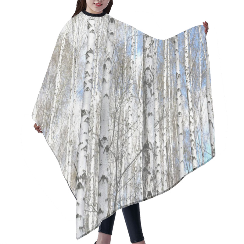 Personality  Beautiful White Birches In Spring In Birch Grove Hair Cutting Cape