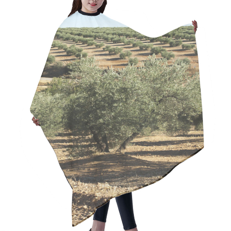 Personality  Olive Trees Hair Cutting Cape