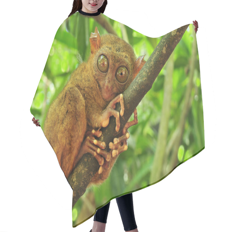 Personality  Tarsier Hair Cutting Cape