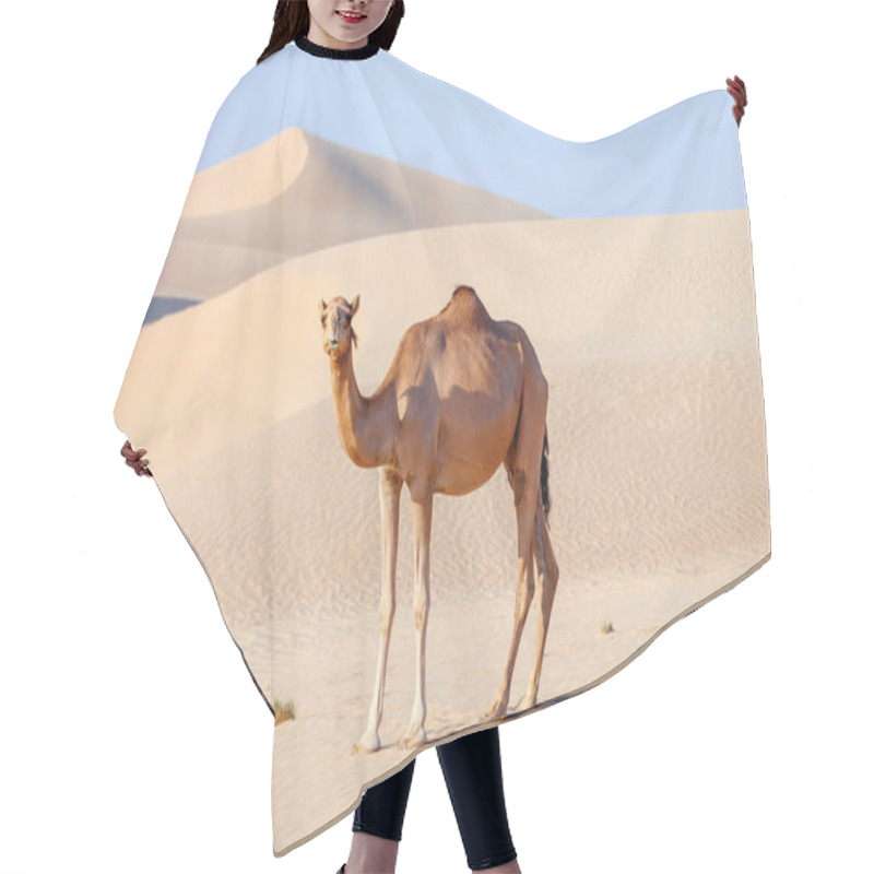 Personality  Middle Eastern Camel In A Desert In United Arab Emirates Hair Cutting Cape