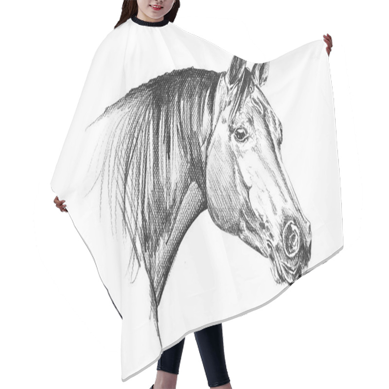 Personality  Freehand Horse Head Pencil Drawing Hair Cutting Cape