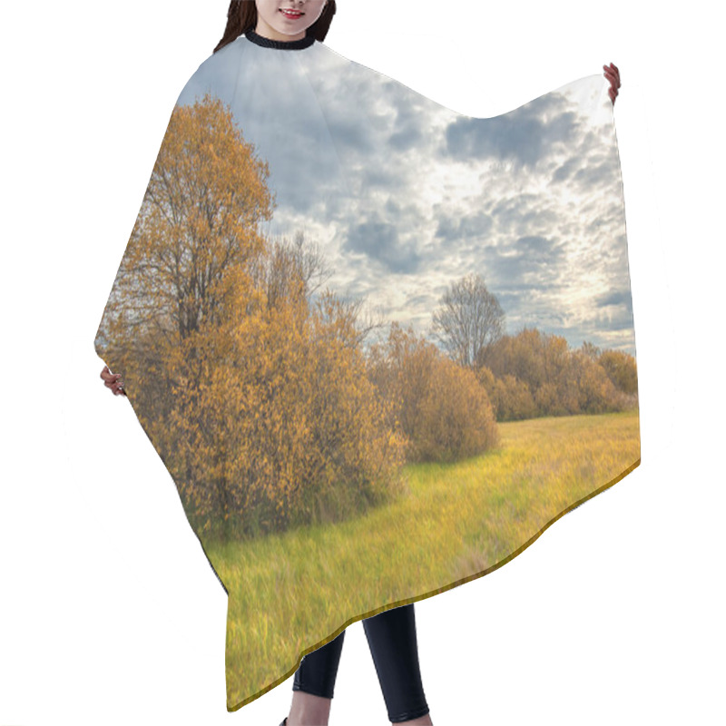 Personality  Picturesque View Of Outdoor Scene In Daylight Hair Cutting Cape